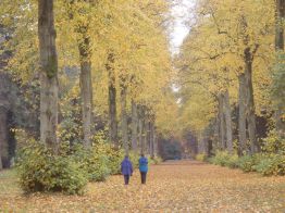 Westonbirt Arboretum. Rob Fraser Cotswolds Conservation Board
